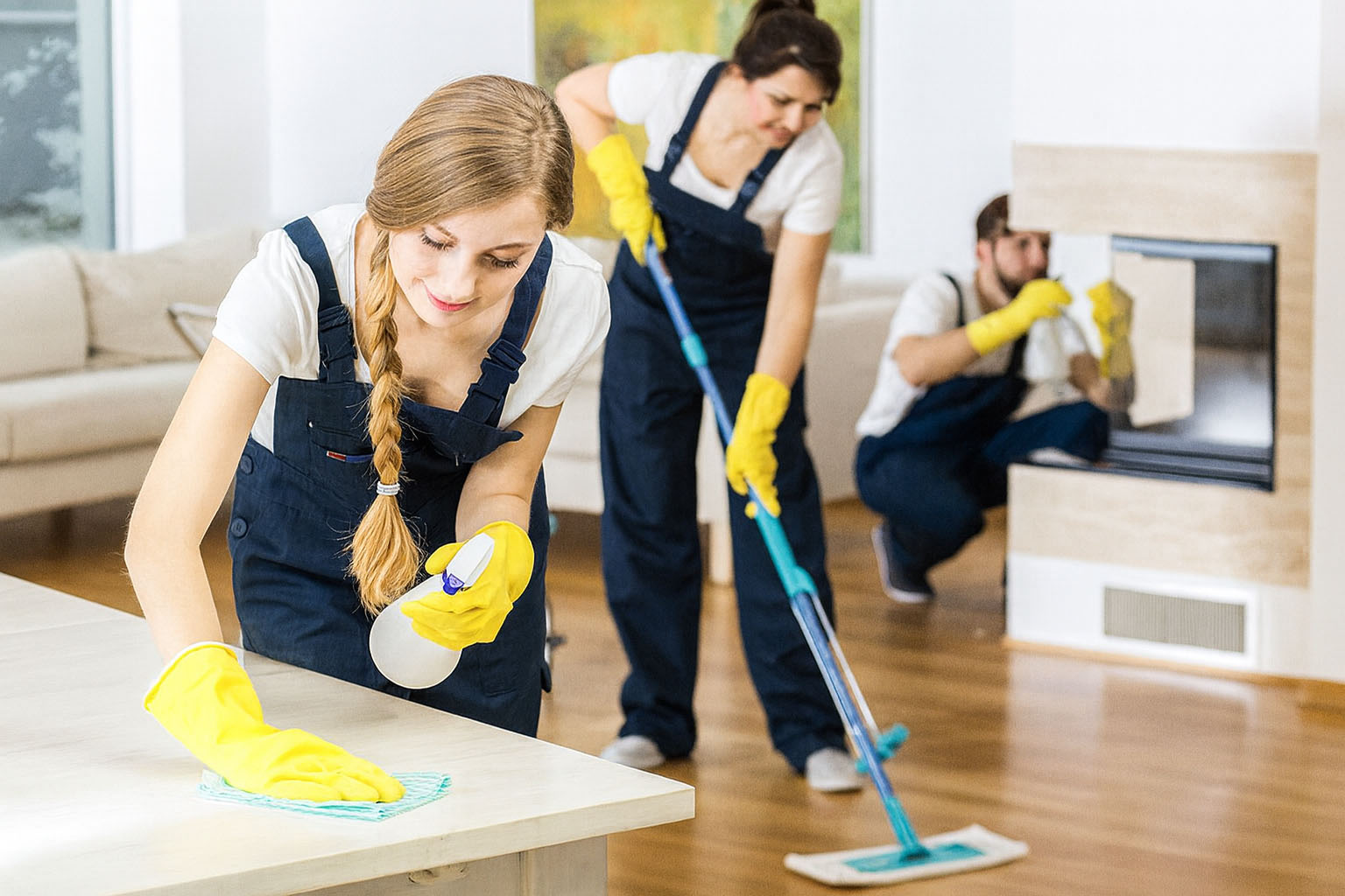 Team cleaning Team cleaning